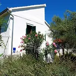 Spacious House In With Sea View