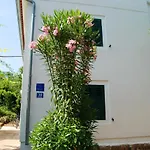 Spacious House In With Sea View * Lukoran