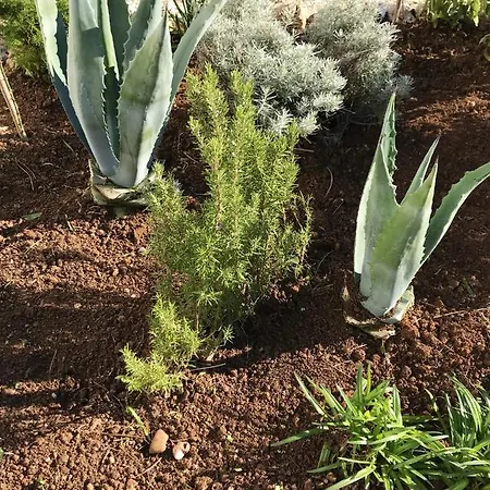 Spacious House In With Sea View Prázdninový dům