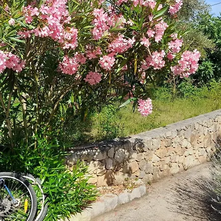 Prázdninový dům Spacious House In With Sea View Lukoran