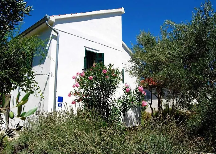 Spacious House In With Sea View