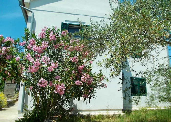 펜션 Spacious House In With Sea View