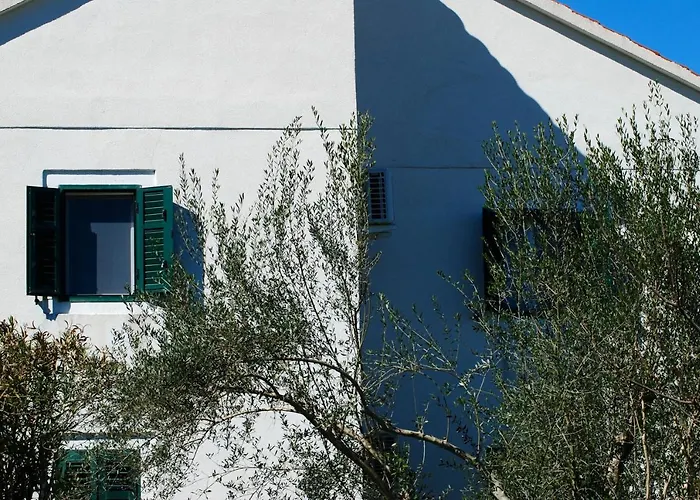 Spacious House In With Sea View 펜션 Lukoran