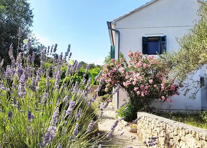 Spacious House In With Sea View *