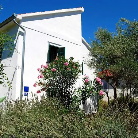 Spacious House In With Sea View