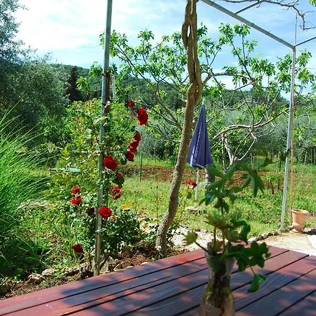 Spacious House In With Sea View Holiday home *