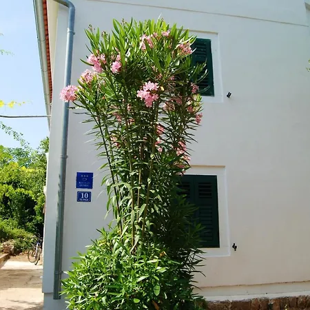 Spacious House In With Sea View * Lukoran