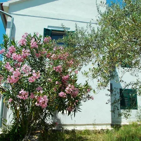 Hébergement de vacances Spacious House In With Sea View