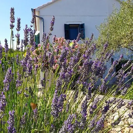 Holiday home Spacious House In With Sea View *