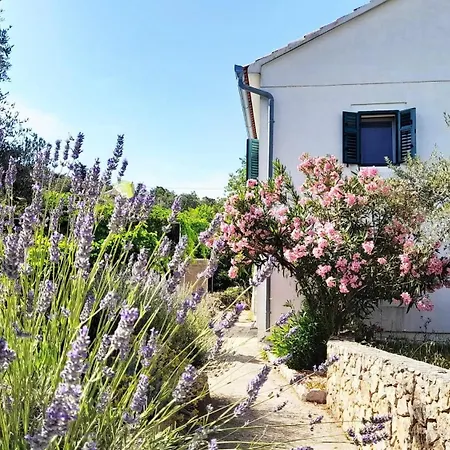 Spacious House In With Sea View *