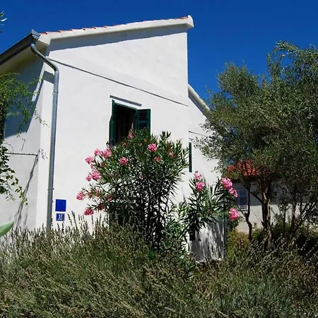 Spacious House In With Sea View
