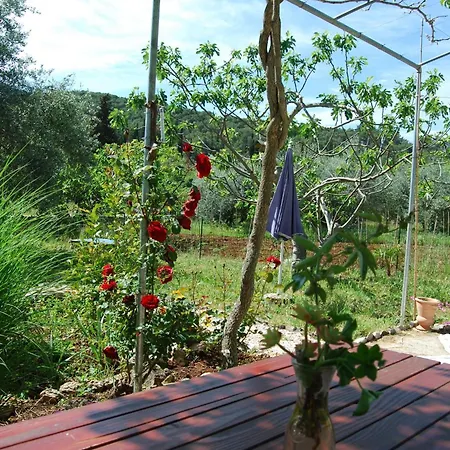 Spacious House In With Sea View Vakantiehuis